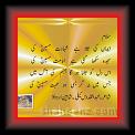 Abdul Qudas Salam 01 * 22.03.2008 * 504 x 404 * (32KB)